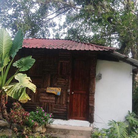 Villa Ecoturistica La Huerta De Xilitla Bagian luar foto