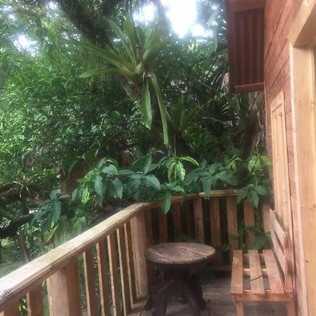 Villa Ecoturistica La Huerta De Xilitla Bagian luar foto