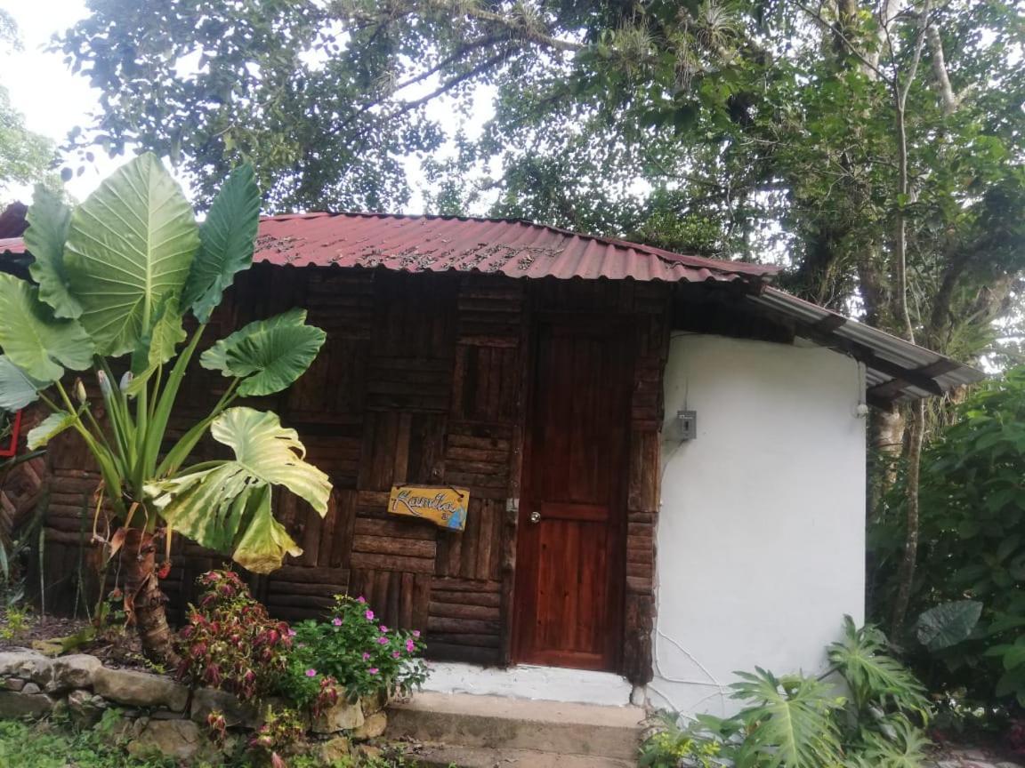 Villa Ecoturistica La Huerta De Xilitla Bagian luar foto