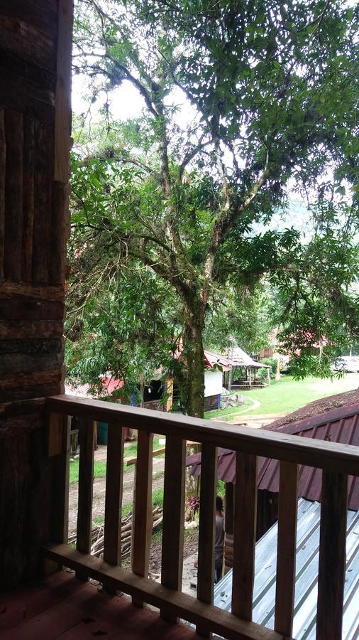 Villa Ecoturistica La Huerta De Xilitla Bagian luar foto