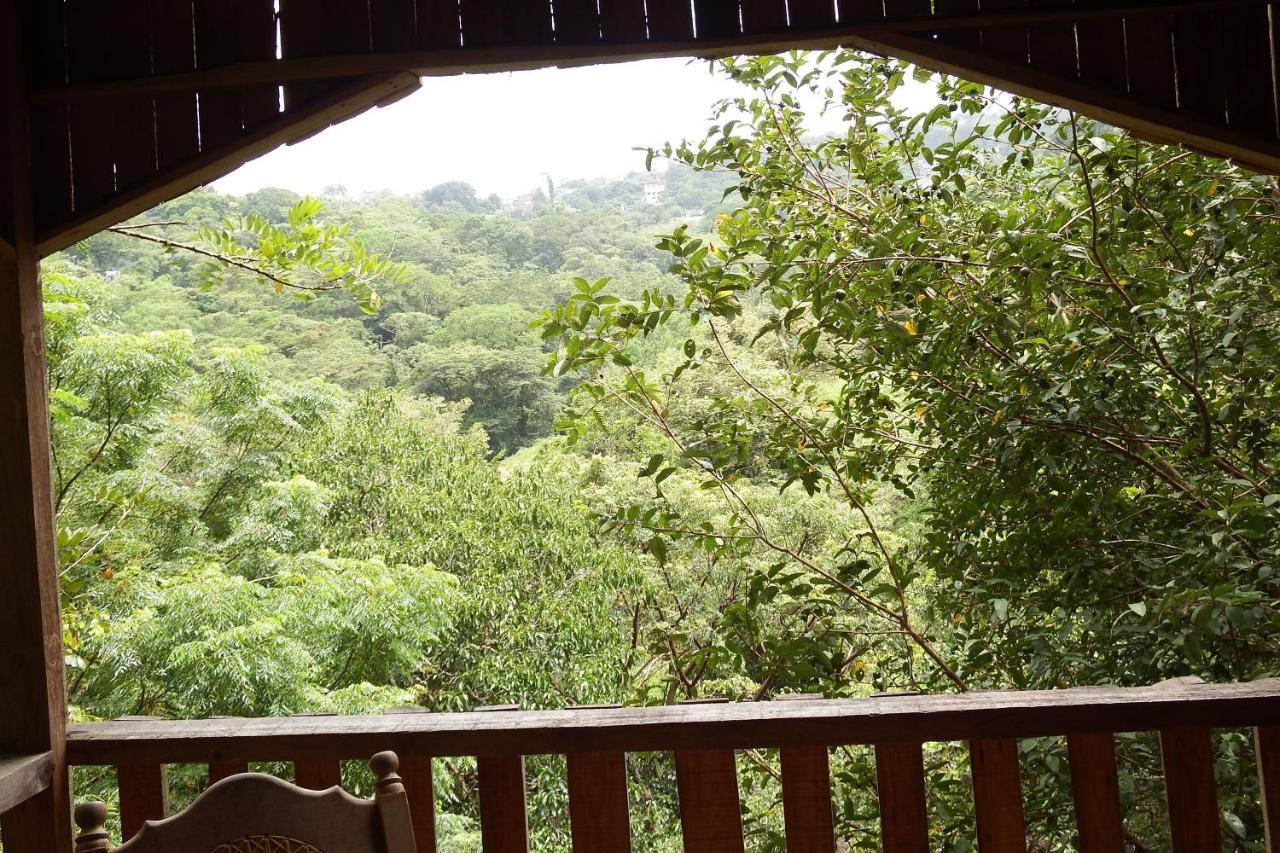 Villa Ecoturistica La Huerta De Xilitla Bagian luar foto