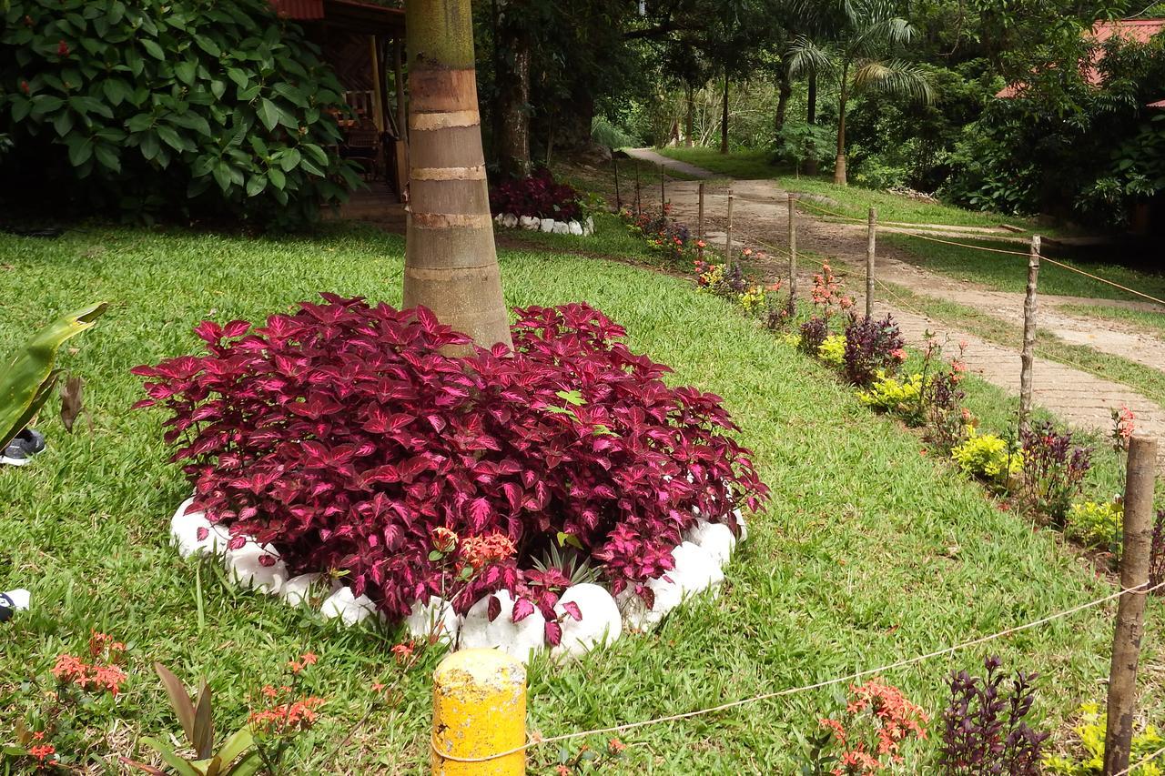 Villa Ecoturistica La Huerta De Xilitla Bagian luar foto