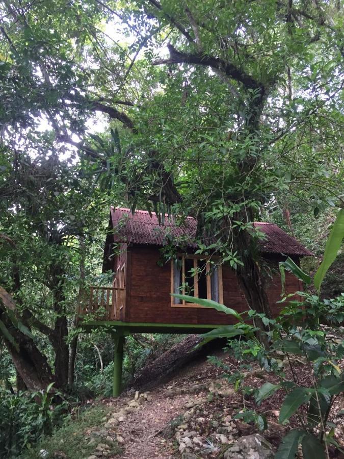 Villa Ecoturistica La Huerta De Xilitla Bagian luar foto