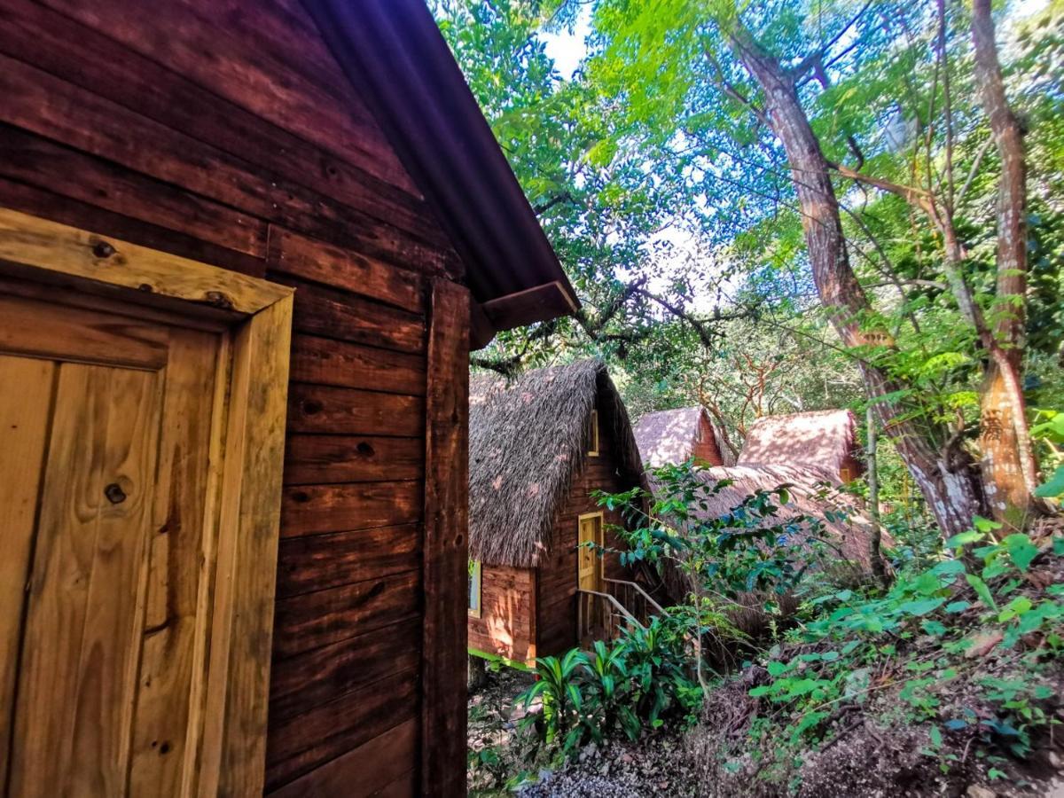 Villa Ecoturistica La Huerta De Xilitla Bagian luar foto