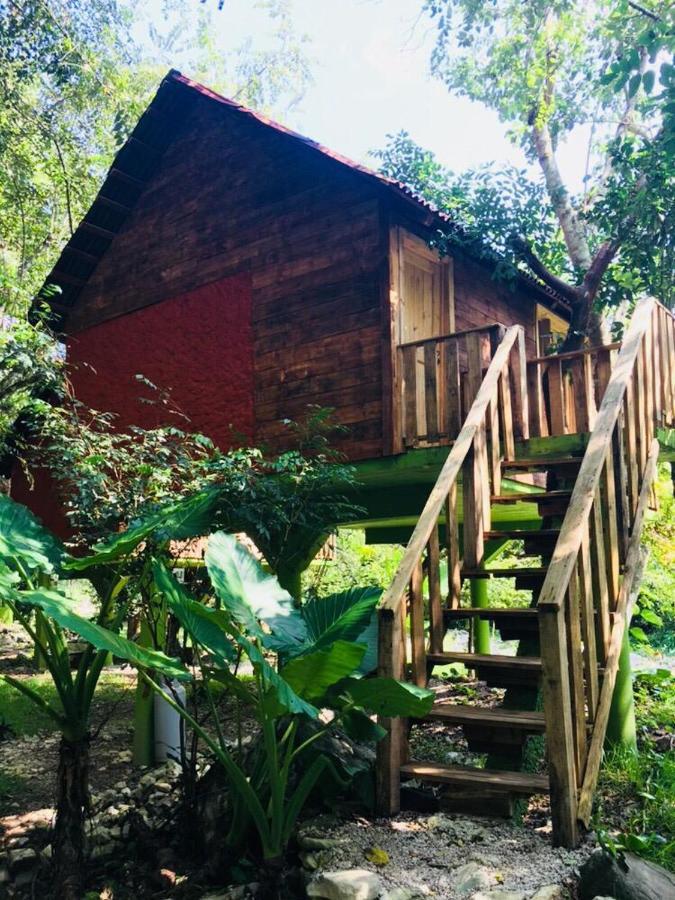 Villa Ecoturistica La Huerta De Xilitla Bagian luar foto